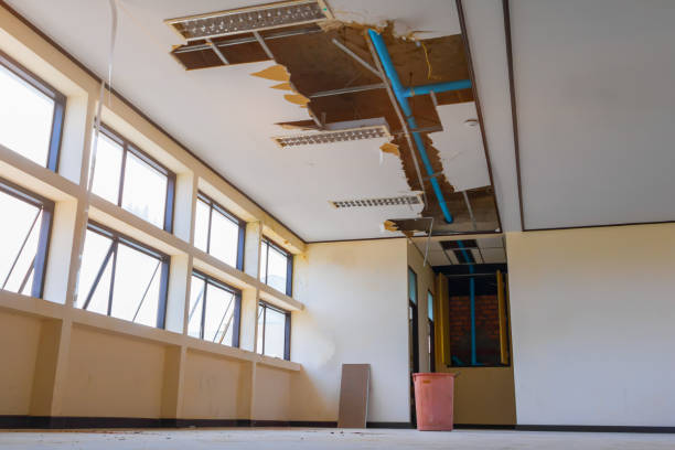 Best Water damage contractors near me  in Beacon, NY