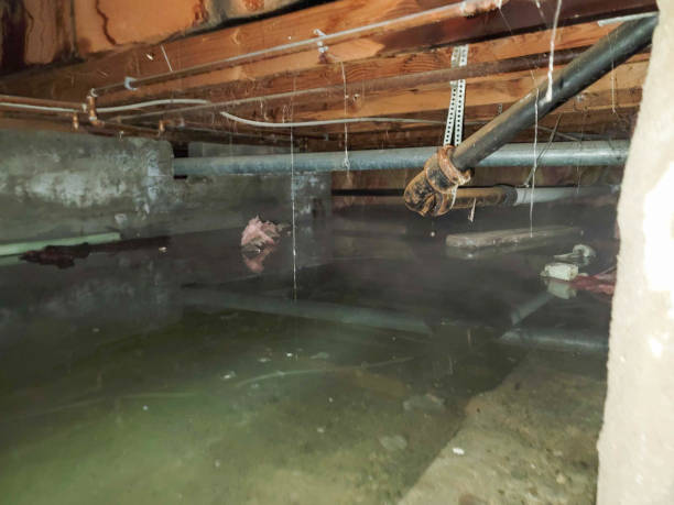 Best Water damage cleanup near me  in Beacon, NY