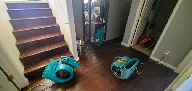 Best Water damage restoration near me  in Beacon, NY