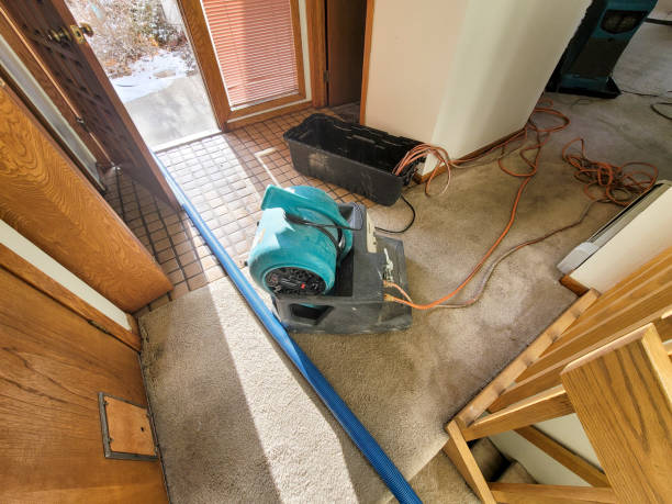 Best Fire Damage Restoration  in Beacon, NY