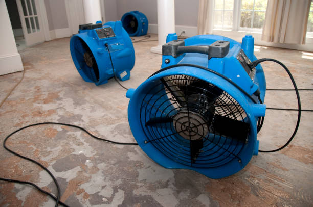 Best Flooded house restoration  in Beacon, NY
