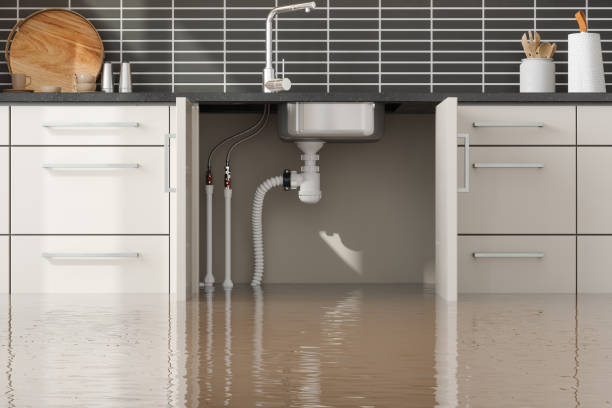 Best Local water damage restoration  in Beacon, NY